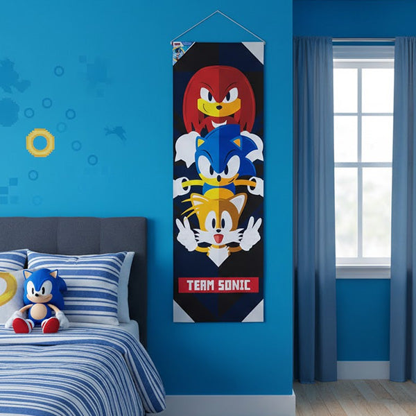 Sonic The Hedgehog  Wall Art