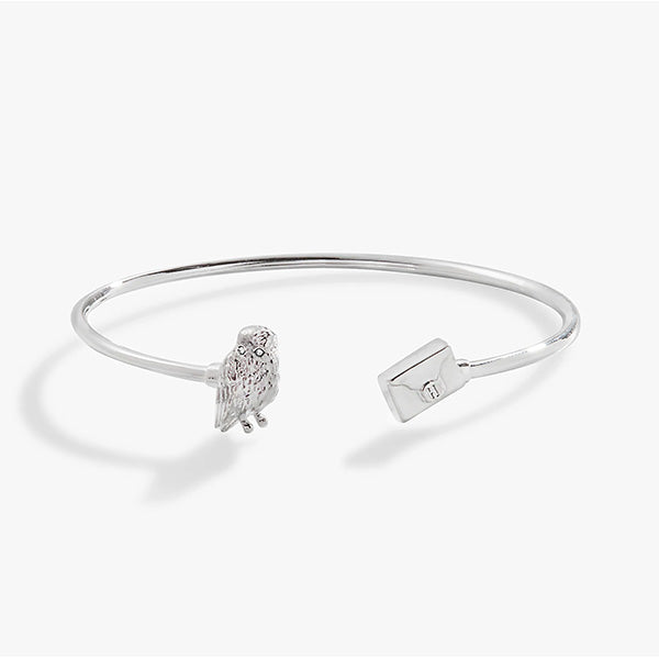 Harry Potter Hedwig + Letter Flex Cuff