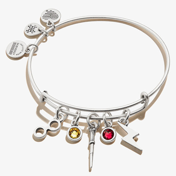 Harry Potter Multi Charm Bangle