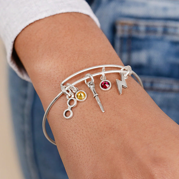 Harry Potter Multi Charm Bangle