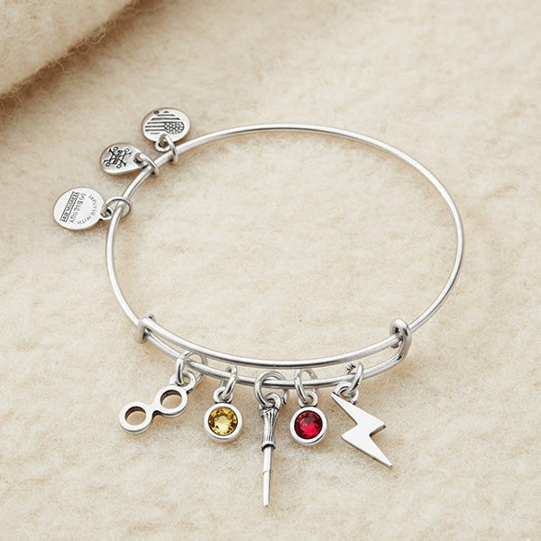 Harry Potter Multi Charm Bangle