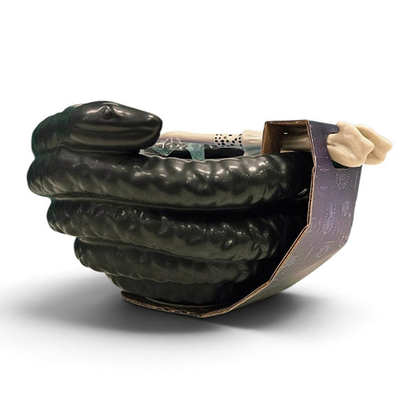 Harry Potter Voldemort Ramen Bowl and Chopsticks