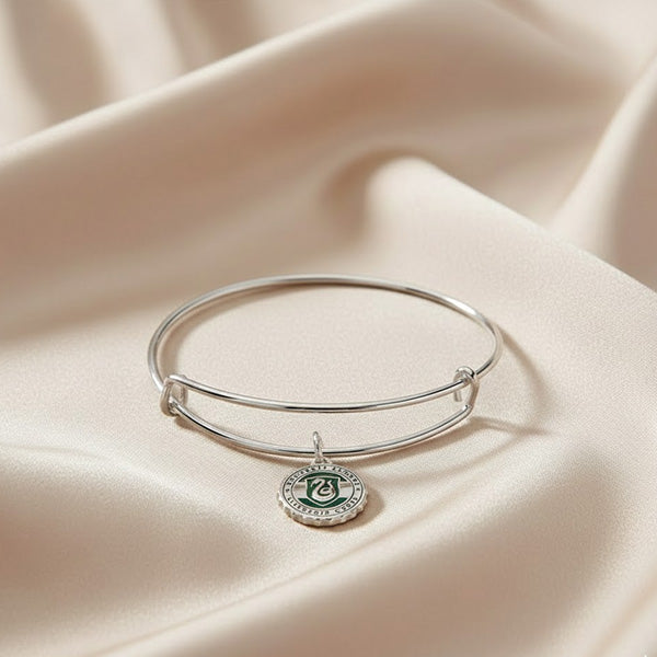 Harry Potter Slytherin House Charm Bangle