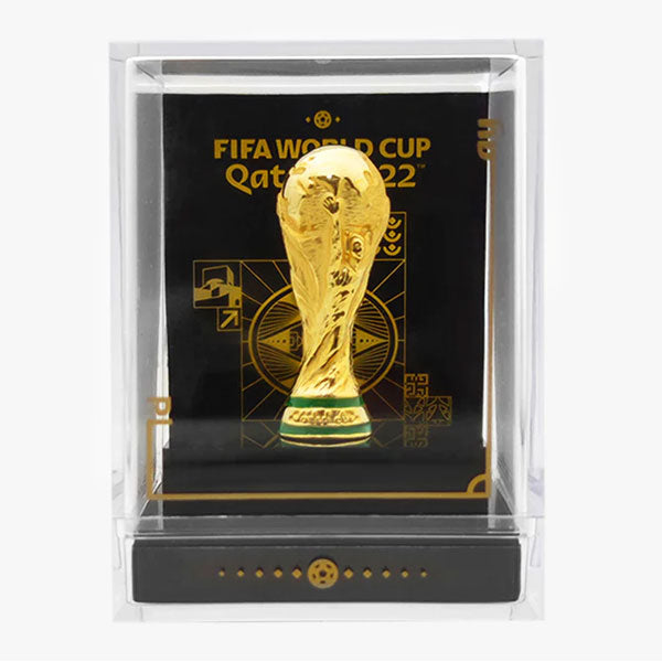 World Cup Qatar 2022 Framed Trophy